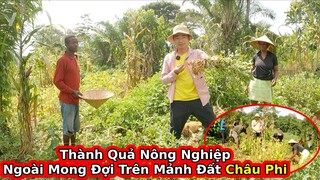 Tập 185: Bất ngờ và Ngỡ Ngàng với thành quả nông nghiệp ở Châu Phi||2Q Vlogs Cuộc Sống Châu Phi