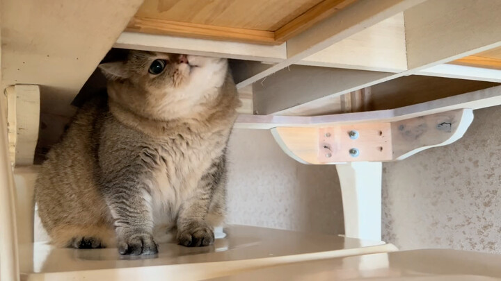 “ถ้าคุณแตะฉัน ฉันจะโกรธนะ!”