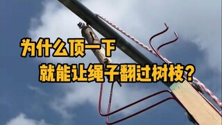 Why does pushing the rope over the branch make it flip over? #Science #MechanicalPrinciples #Physics