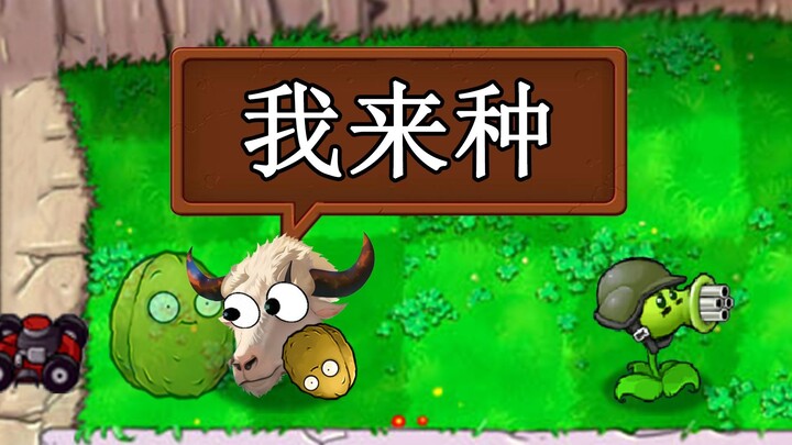 A head of cattle guards 2 rows for you—team up with cows and sheep to fend off the zombies!