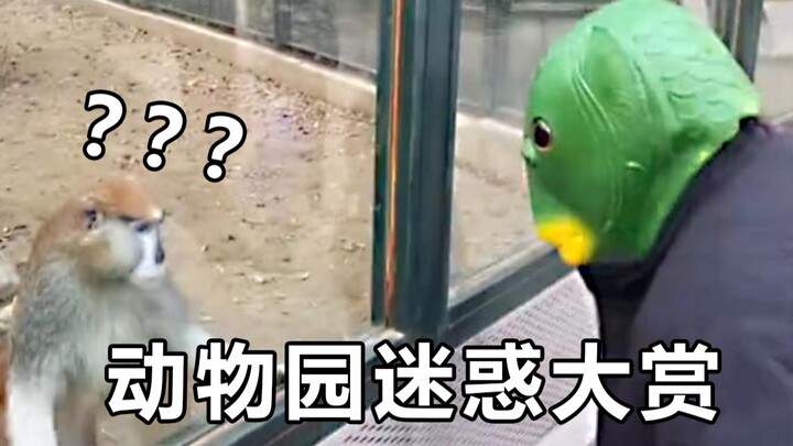 “บางคนมาที่สวนสัตว์...ดูเหมือนไม่ได้มาดูสัตว์เลย”