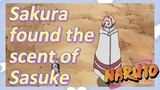 Sakura found the scent of Sasuke