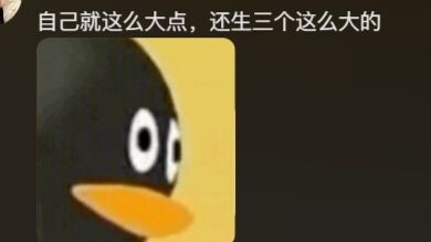 Apakah masih ada ruang untuk organ dalam di perutnya yang sudah menampung tiga anak?