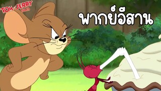 ทอมแอนด์เจอร์รี่ (พากย์อีสาน) ตอน มดน้อยจอมแสบ