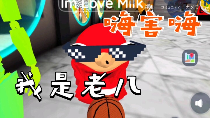 VRChat Mobile: My First Time Teaching a Foreigner to Say “Cheshuo”