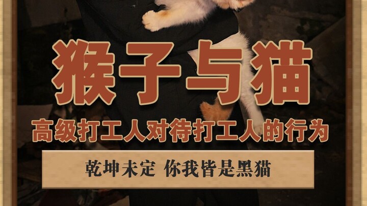 Monkeys vs. Cats: It’s All About This One Thing—The Clash Between “High-End Workers” and “Regular Wo