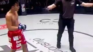 fro boxer