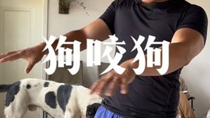 Lời cảnh báo đẫm máu