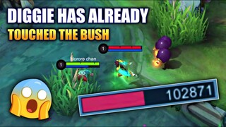 PLS NERF DIGGIE