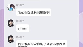 逆天群友，“市区里怎么会有响尾蛇啊”