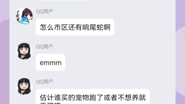 逆天群友，“市区里怎么会有响尾蛇啊”