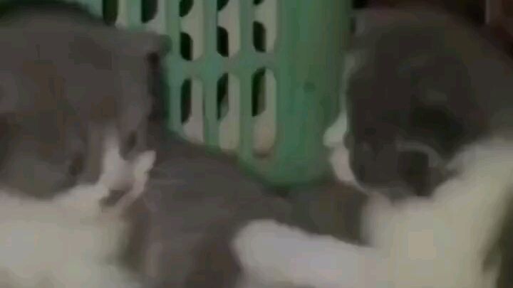 tiêu đề ví zụ siêu pro