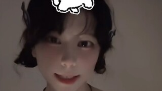 小狗特效合集1