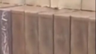 รู้สึกเหมือน Ding Yuxi กำลังวิ่งหนีเพื่อชีวิตของเขาจริงๆ # 丁禹西 # ตลก # 大利 Temple Shaoqingyou # ดูวัด
