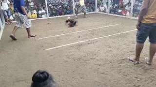 bulik kinarati ang opponent