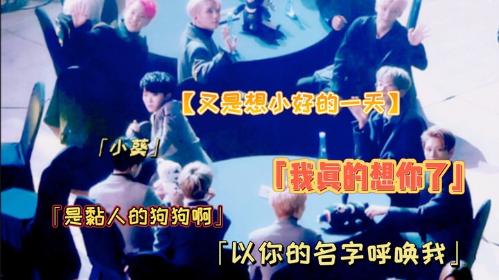 【كوي با】 كلب لطيف جدًا، يصبح فاقد الحماس فور غياب صاحبه المحبوب! نادِني باسمك، فإذا لم تكن هنا، فأنا