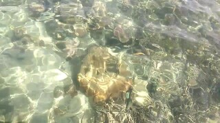 laut natuna