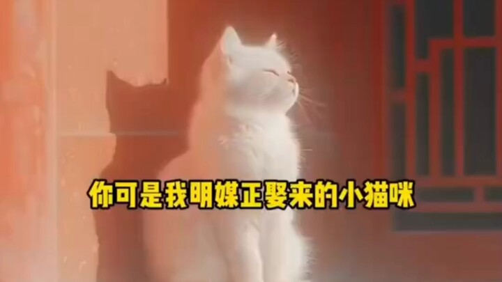 Kucing kecil yang dipersunting secara resmi