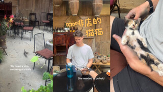 صادفنا قطة صغيرة في مقهى القهوة 🥺