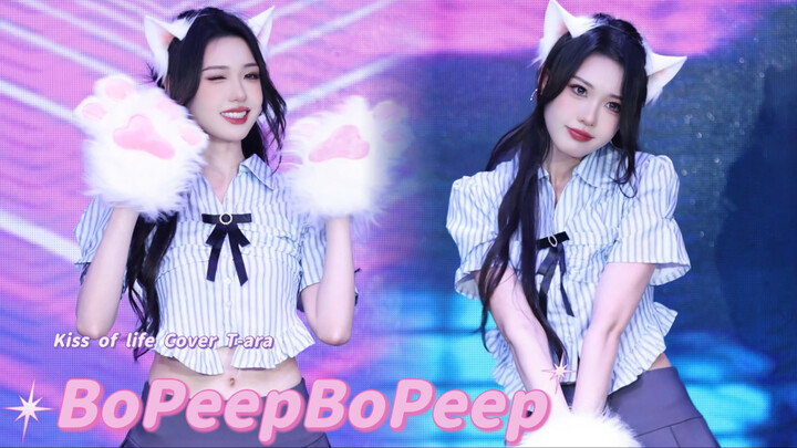 I love this little cat’s kneading dance 😽🍬 | BoPeepBoPeep — kissoflife Cover of T-ara’s “Belle” | Ha