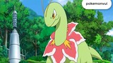 Pikachu đấu với Pokemon Thảo mộc