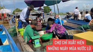 Đồng hành cùng Khương Dừa đến chợ nổi mùa nước lũ ở An Phú An Giang