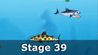 Feeding Frenzy  2 - Stage 39