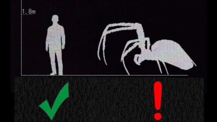 [Trò Chuyện Quy Tắc Kỳ Lạ] Ô Nhiễm Hạt Nhân Ập Đến – Nguyên Tắc Tự Bảo Vệ Của Cư Dân