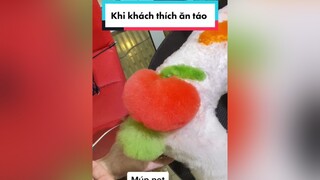 Ai ăn táo hun.. tặng kèm 1 chiếc nơ!!BatNapLaBatMood thúcưng chó_cưng thú_cưng mèo nhuộmkhôngtẩy