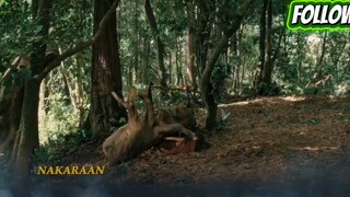 SANGRE CHRONICLES EPISODE 72👍