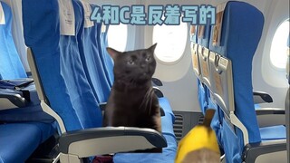 Friend, have you ever seen a 4C power bank?