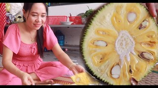 Mít trồng đây - Nam Việt