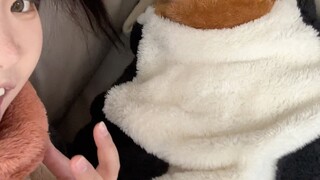 This little toy sure has a big temper!