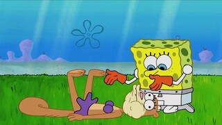 SpongeBob SquarePants: Sandy kecanduan memecahkan rekor