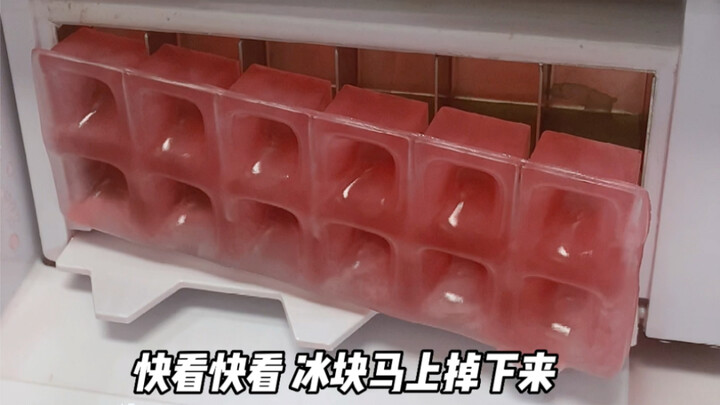 What's it like to buy an ice machine at 22 without relying on your parents' money?