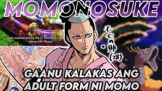 gaanu kalakas ang adult form ni momonosuke. One piece discussion.