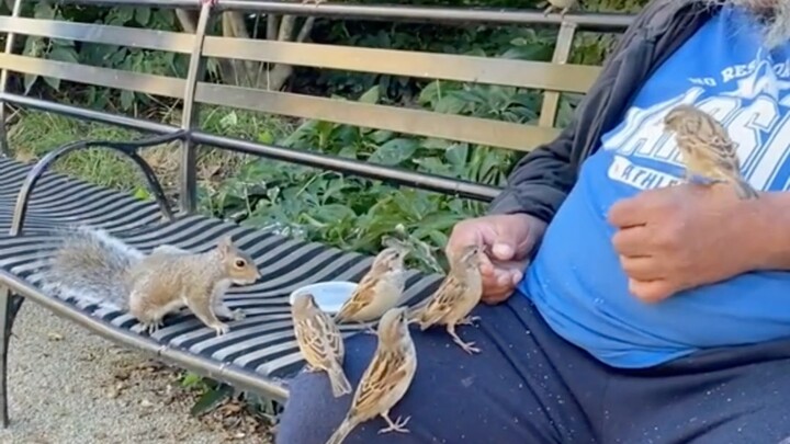 ถ้าเขาไม่ใช่คนอ่อนโยนและเปี่ยมเมตตา เขาจะได้รับความรักและความชื่นชมจากเหล่าสัตว์น้อยได้อย่างไร?