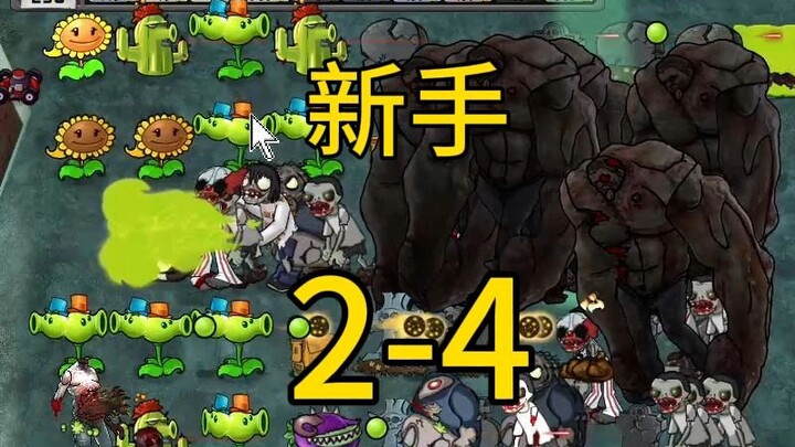Beginner 2-4