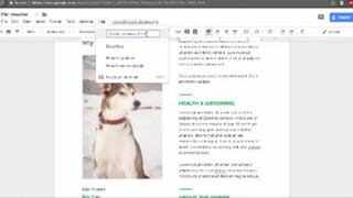 Cách chèn link tham khảo cho văn bản google docs