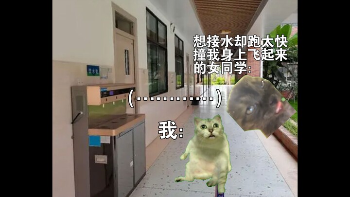 【Cat Meme】The story of a female classmate rushing to get water, bumping into me, and then flying bac