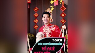 3 cách vận chuyển chó mèo về quê ngày Tết LearnOnTikTok education dcgr tuitienpet chuanbidontet tetxahoagan pet thucung