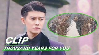 Wei Du Has Been Put In An Illusion By Zhu Rong All Along | Thousand Years For You EP30 | 请君 | iQIYI