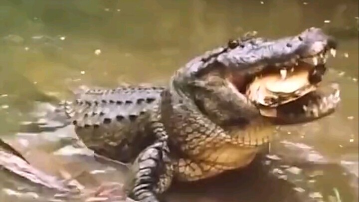 คาบ้งกรอบ