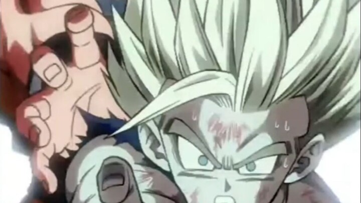 Dragon Ball Burst Wars 10th Anniversary Super Fan Battle Animation