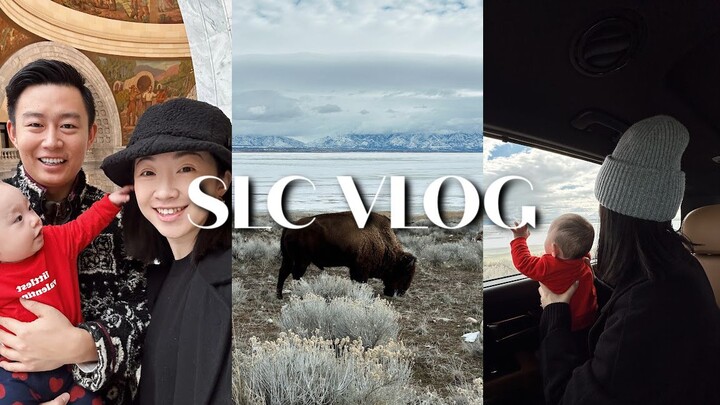 JAN VLOG | Ngắm bò rừng ở Thành phố Salt Lake | Bảo tàng Lịch sử Tự nhiên | Tòa nhà Quốc hội bang Ut