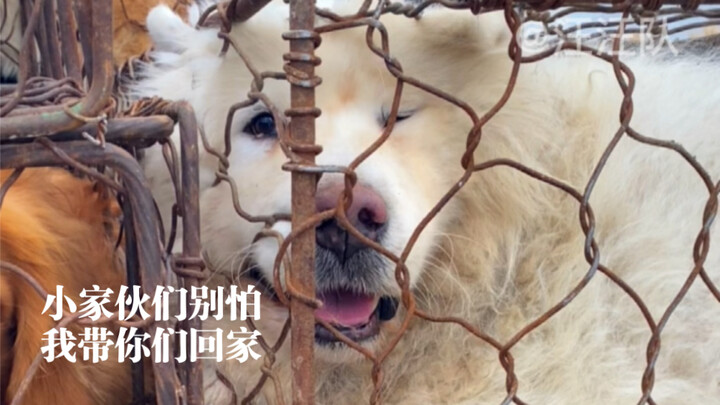 Kalau ada rumah, siapa yang mau hidup mengembara? Tak seorang pun terlahir untuk menjadi pengembara;