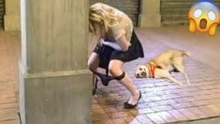 Random Funny Videos |Try Not To Laugh Compilation | Cute People And Animals Doing Funny Things #P1