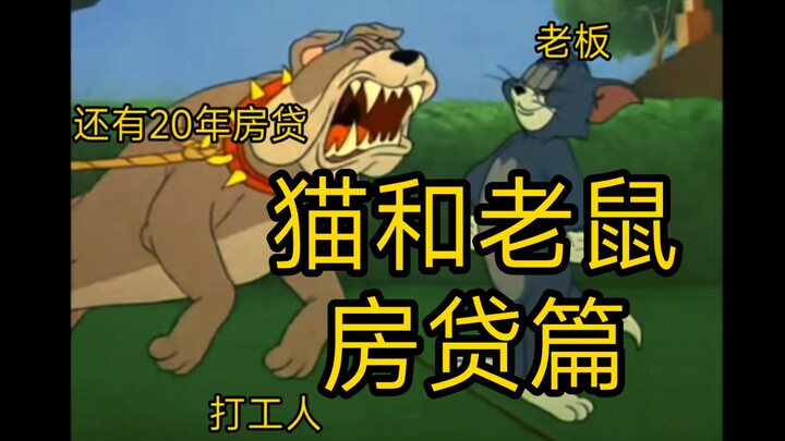 房贷篇 猫和老鼠是部纪录片