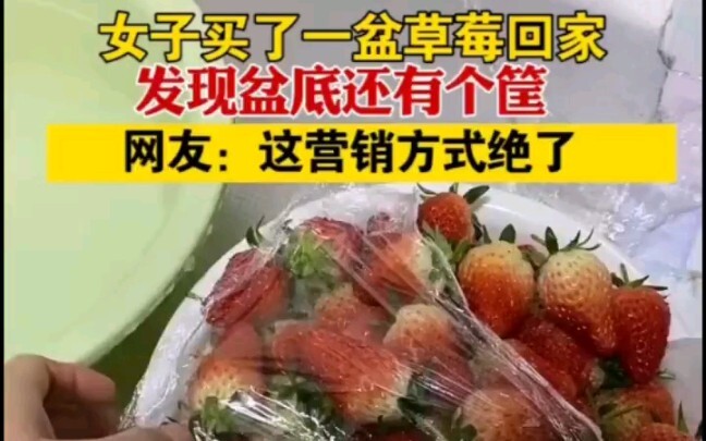 Dâu tây đúng là có hai cân.