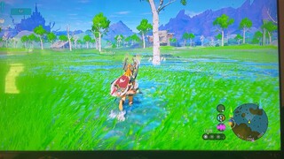 塞尔达王国之泪